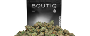 White Tahoe Cookies Indoor Smalls – 14g – Boutiq Disposable